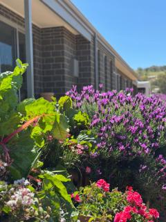 Toodyay Upon Avon Guest House and Gallery - 1