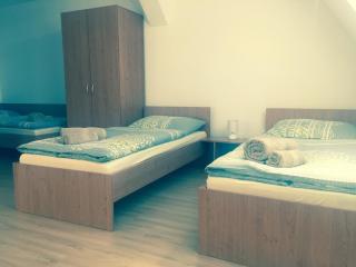 Guest House Hodus - Vydrany - 2