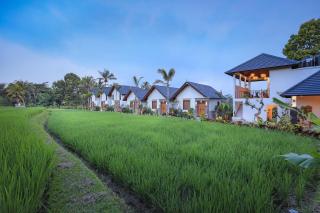 Ascarya Ubud - 3