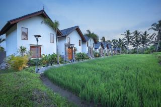 Ascarya Ubud - 5
