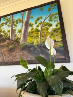 Toodyay Upon Avon Guest House and Gallery - 2