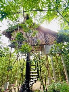 Sanctuaria Treehouses Busuanga - 8