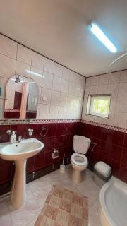 Casa Delia Vatra Dornei - 5