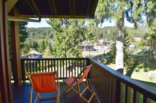 Central Park Duplex Apartment MhD - 8