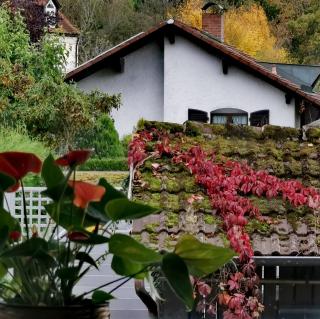 Moderne Ferienwohnung im Herzen von Bad Waldsee - 8