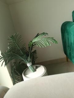 Saqqara Nights Hotel - 5