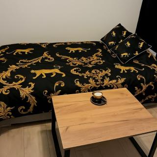 Exclusive Apartment - blisko Dworca, darmowy parking przy ulicy, późne wymeldowanie, Wi-Fi - Opole - 3