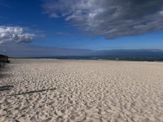 Apartament Krab AKTENA Shellter Rogowo - 2