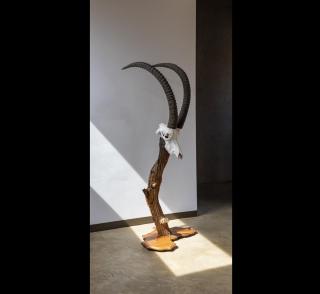 Kameelpoort Luxury Villa - 2