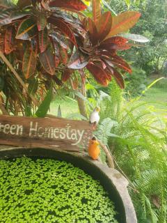 Mind's Homestay มายด์โฮมสเตย์ - 7