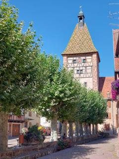 Maison Chez Grand-mère, Route des vins - 3