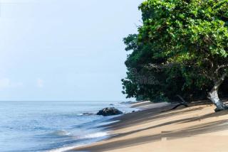 Hôtel Restaurant Gites Kribi - 6