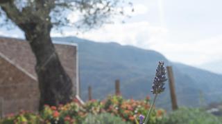 Agritur Lawanda - Vezzano - 7