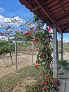 Sítio Recanto das Rosas - 2