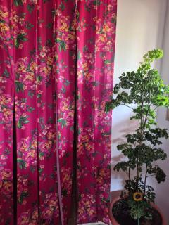 Sítio Recanto das Rosas - 3