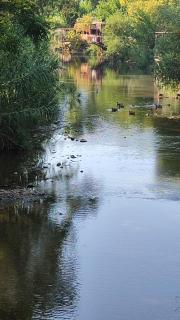 Adrasan Çıtır Pansiyon - 5