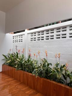 เอ็นแอนด์เอ็นรีสอร์ทวีไอพี - 8