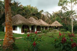 Glamping Las Palmas Finca - 4
