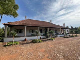 Colonial Farmhouse with Cottage - Lugar Minas da Caveira - 3