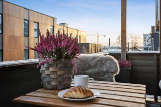 The Reindeer Lounge, Nordic Comfort in the Arctic - 3