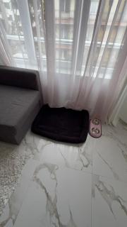 Delux 2 - Plovdiv Модерен апартамент до Стария град и Източната порта - 9