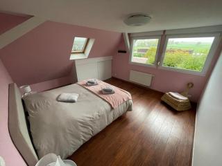 Clos Suzette - Gîte de groupe - Maison de vacances - Kirrwiller - 5