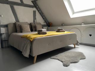 Clos Suzette - Gîte de groupe - Maison de vacances - Kirrwiller - 3