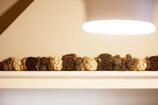 Casa Sophia, a timeless stay in Lucca - 2