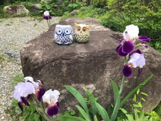 Fukurou no Oyado - Vacation STAY 71243v - 5