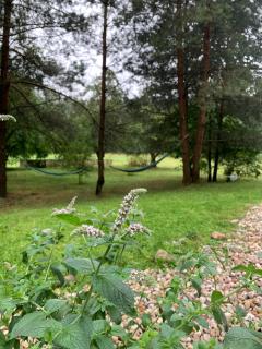 Samotnia w folwarku Wandzin - 6