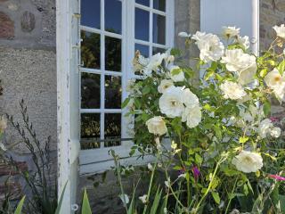 751 - Maison de caractère avec magnifique jardin clos - 9
