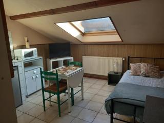 Les appartements du Lion de Belfort - 7