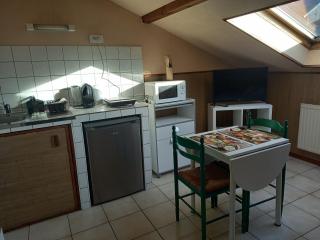 Les appartements du Lion de Belfort - 6