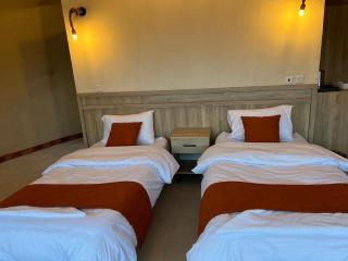 Bedouin Camp&tour - 6