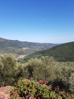 Agriturismo Dinoabbo Apt - 7