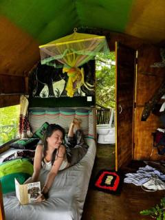 Skyp Lake jungle - 9