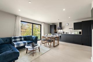 Luxury NEC and Birmingham Airport Apartment - 0