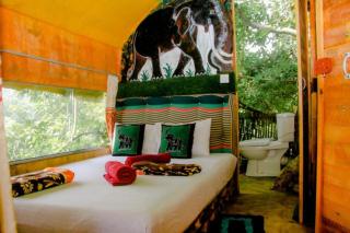 Skyp Lake jungle - 3