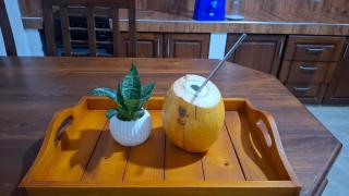 Aetos Wellness - Tangalle - 9