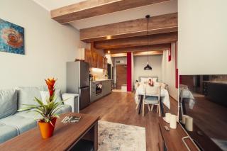 Rila Zen Apartment - 0