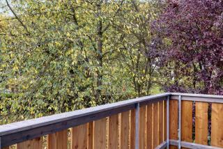 Ferienwohnungen Alt - Altenstädt - 3