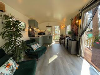 The Butterfly - Forest - Dog - Maastricht - 0