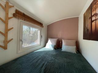 The Butterfly - Forest - Dog - Maastricht - 2