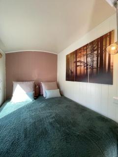 The Butterfly - Forest - Dog - Maastricht - 3