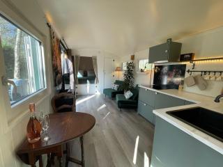 The Butterfly - Forest - Dog - Maastricht - 7