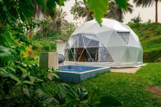 Glamping Las Palmas Finca - 7