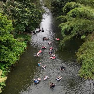 Khaosok August Freedom Camp - 2