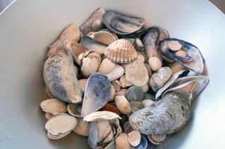 Stuga Glommen 2 bed cottage by the sea - 4