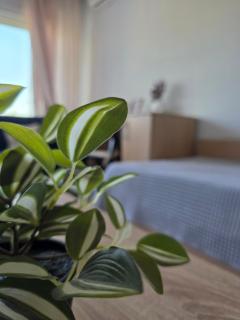 Marina's Guesthouse, seaview apartment - 1