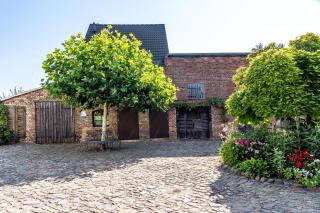 Cottage Im Fläming - Ferienwohnung - 8